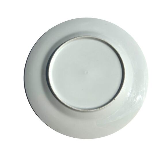 VTG Pennsylvania Dutch Country Collector Plate MCM Lancaster Allentown Reading - Picture 2 of 7